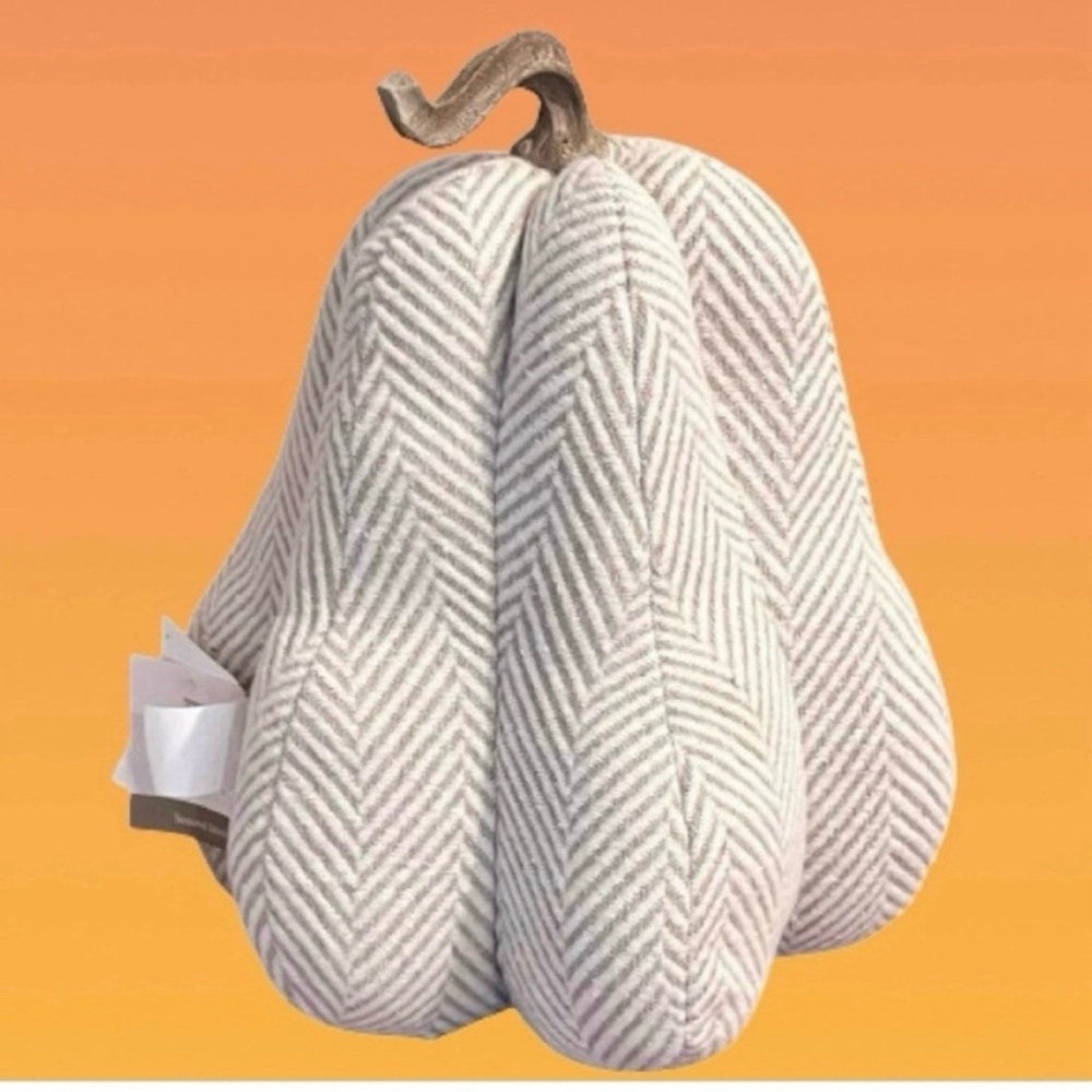 NWT- Hay Market Herringbone Fabric Neutral Pumpkin Accent Pillow